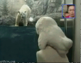 Imagenes con movimiento - Página 4 Polar-Bear-Attacks_large