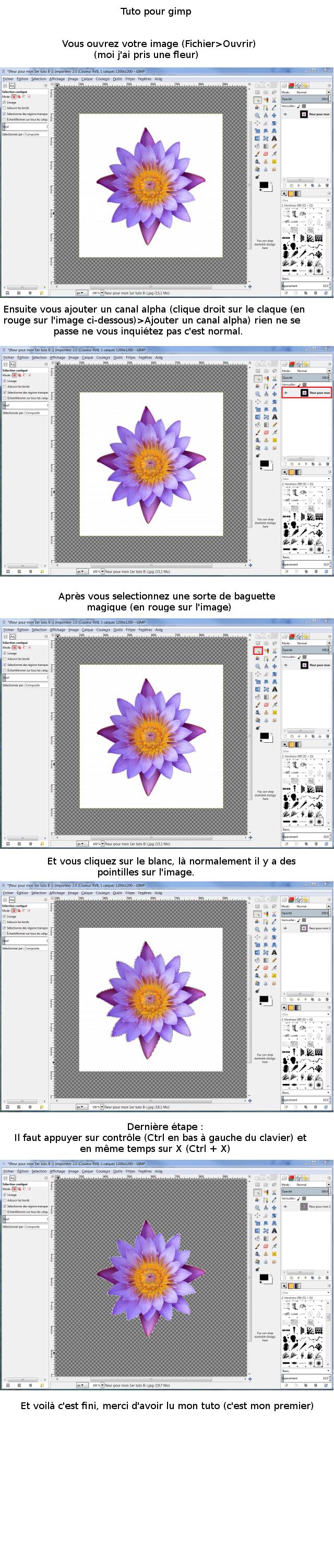 Tuto pour rendre le fond unie d'une image transparent Tuto%20fini