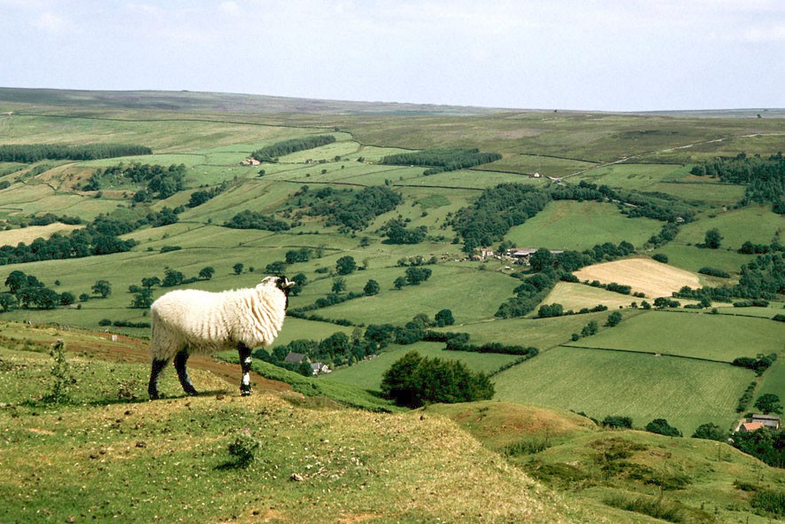 For £20 million, you too could own this UK village, but would you? 1459852365_uk-village-sale