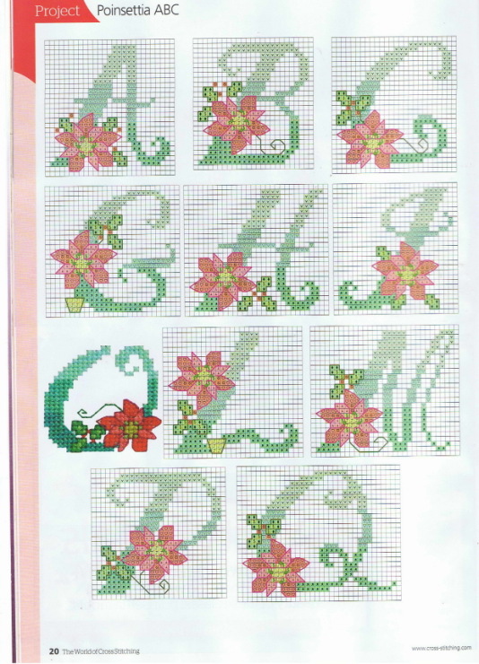 Alpha fleur de noel 333346-fc9a5-70441858-m750x740-u12ea7