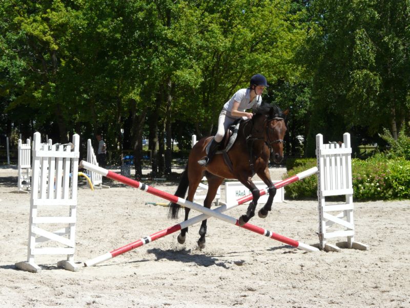 Saut d'obstacle P1000538bis