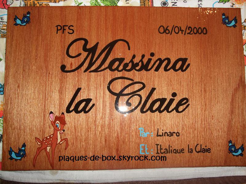 une jolie plaque pour vos chevaux? 3123069467_2_3_5Z23BIgd