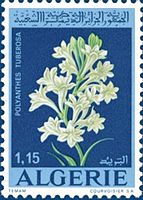 مجموعة طوابع البريد الجزائري من 1962 إلى 2011 553_01