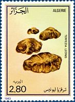 مجموعة طوابع البريد الجزائري من 1962 إلى 2011 790_01