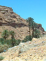 صور من تاغيت 2012 Photo0047