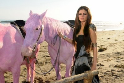 Cheval barbie? - Page 2 3006385615_1_3_ywjXB8Vu