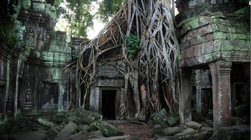 greenpunk - Greenpunk - Página 4 Ta-Prohm-Angkor-Wat-Cambodia