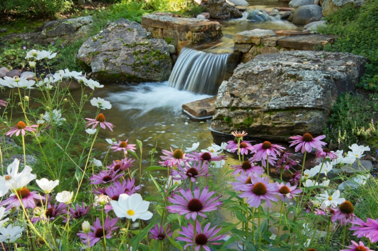 Discussion sur l' Etoile de TF1 du  11  juillet   2016 - Page 18 Cascade-bassin-de-jardin-rochers-fleurs-deco-exterieure