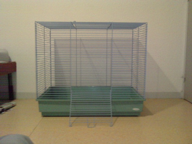 Cage pour des rats pas encore la P311009_17.200001