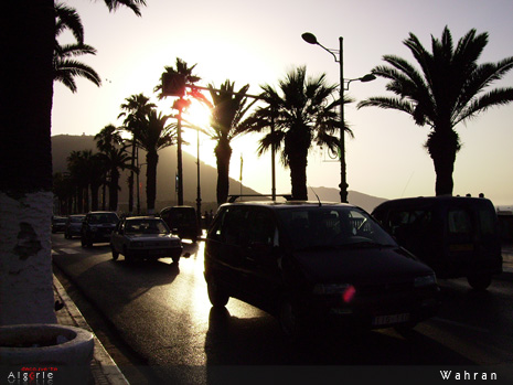 &#8362;||    |~|&#8362;| Oran-wahran-7-algerie