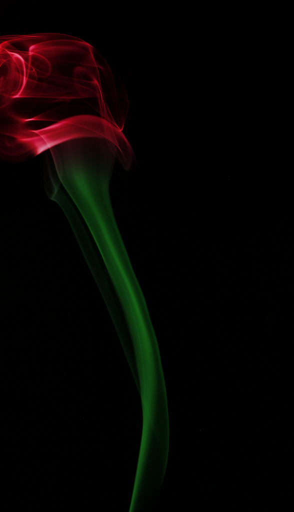 ترى فن الدخان  18.smoke-photography