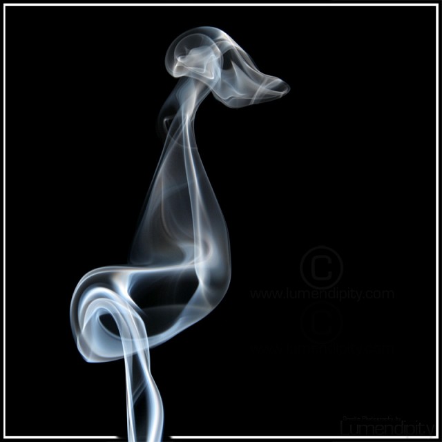 ترى فن الدخان  27.smoke-photography