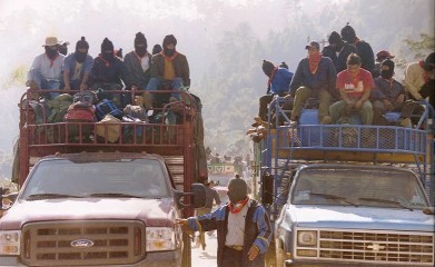 Muere zapatista en emboscada de militantes del PVEM y PAN (PM - Político Militar) La-realidad-391x240