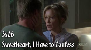 3x06 - Sweetheart, I Have to Confess Logos3ep06