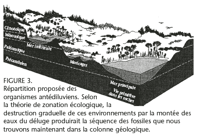 La Genèse et la colonne géologique - Ariel A. Roth (doctorat de l'université du Michigan)  15_1_roth_f_g3