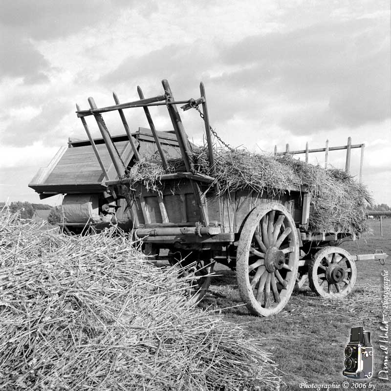 - les photos d'un ami - 281106_agricole_08