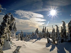 POEMAS SIDERALES ( Sol, Luna, Estrellas, Tierra, Naturaleza, Galaxias...) - Página 28 Sol_de_invierno-300x225