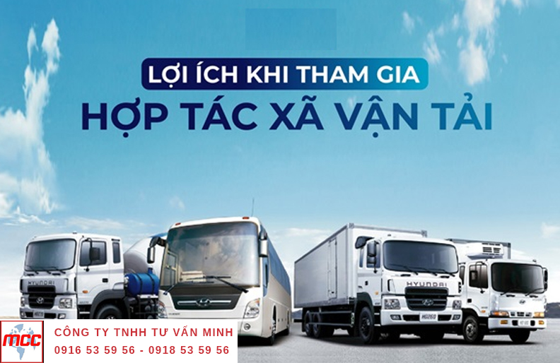 Công ty Minh Minh tư vấn thành lập doanh nghiệp uy tín tại Đồng Nai Loi-ich-khi-tham-gia-hop-tac-van-tai