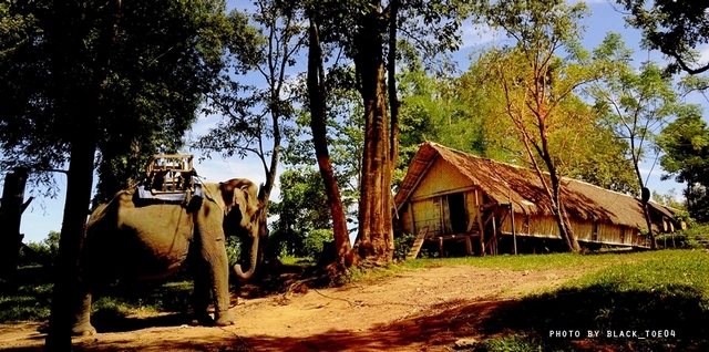 2014 - Vé máy bay TPHCM đi Buôn Ma Thuột giá rẻ mùa hè 2014 4