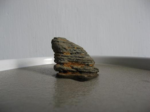 The smallest landscape stones ... 79_img_1103