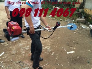 Máy cắt cỏ Honda, máy cắt cỏ cầm tay chạy xăng giá rẻ M%C3%A1y-c%E1%BA%AFt-c%E1%BB%8F-honda-gi%C3%A1-r%E1%BA%BB-nh%E1%BA%A5t-300x225