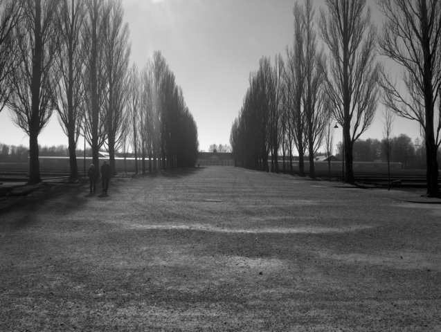 DACHAU 2008 Photo93