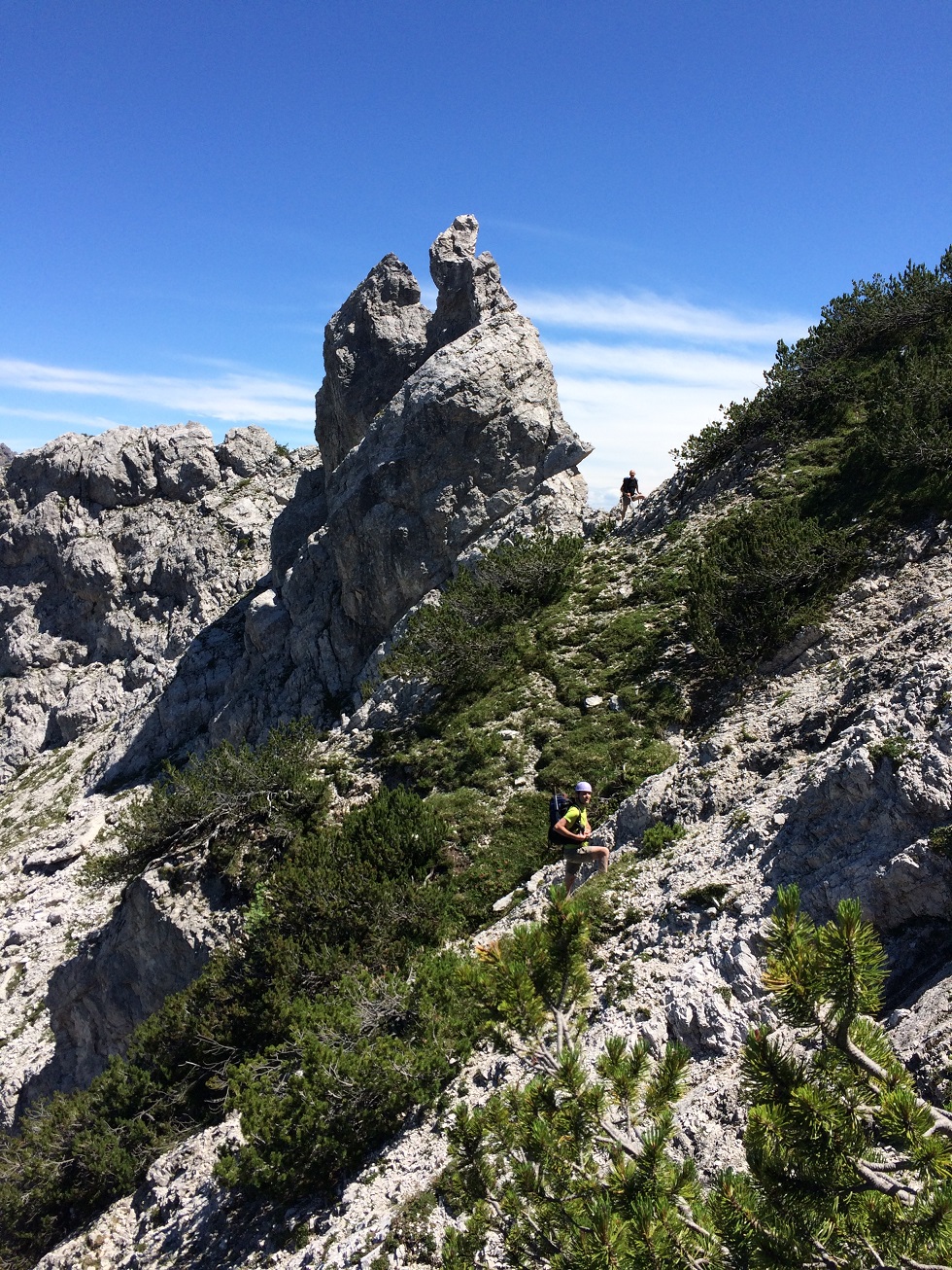 Cima di Bortolusc Bortolusc_04