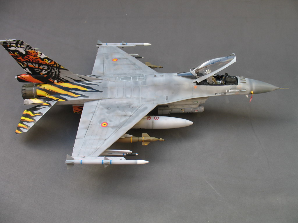 Fini: 1/48 F-16A MLU Tiger Meet 2005 Immagine%20022