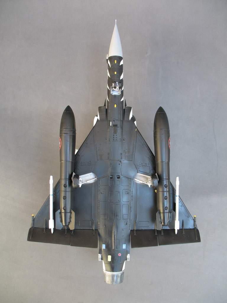 Fini: 1/48 Mirage 2000C Tiger Meet 2006 Immagine%20027