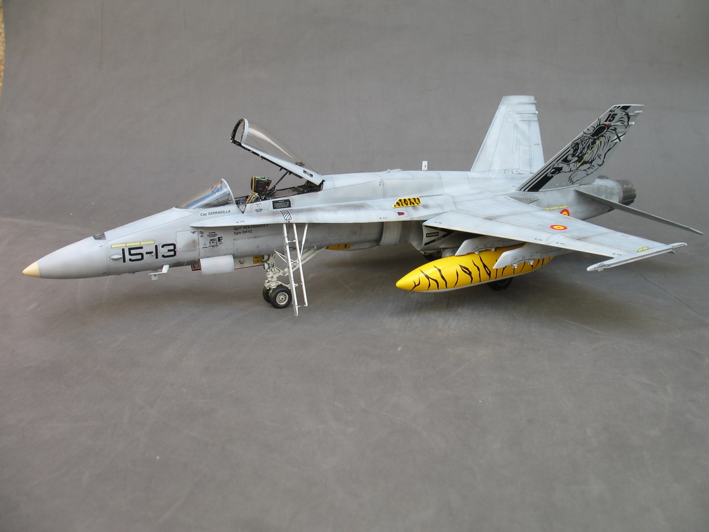 Fini: 1/48 EF-18A Tiger Meet 2007 Immagine%20004