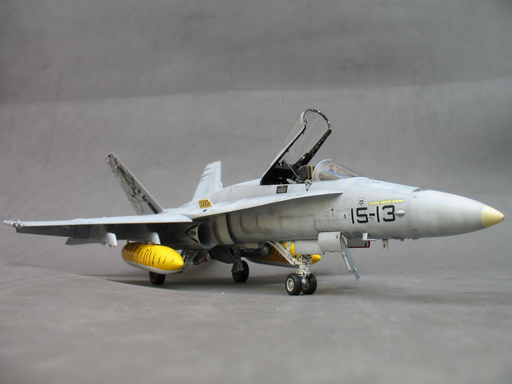 Fini: 1/48 EF-18A Tiger Meet 2007 Immagine%20031