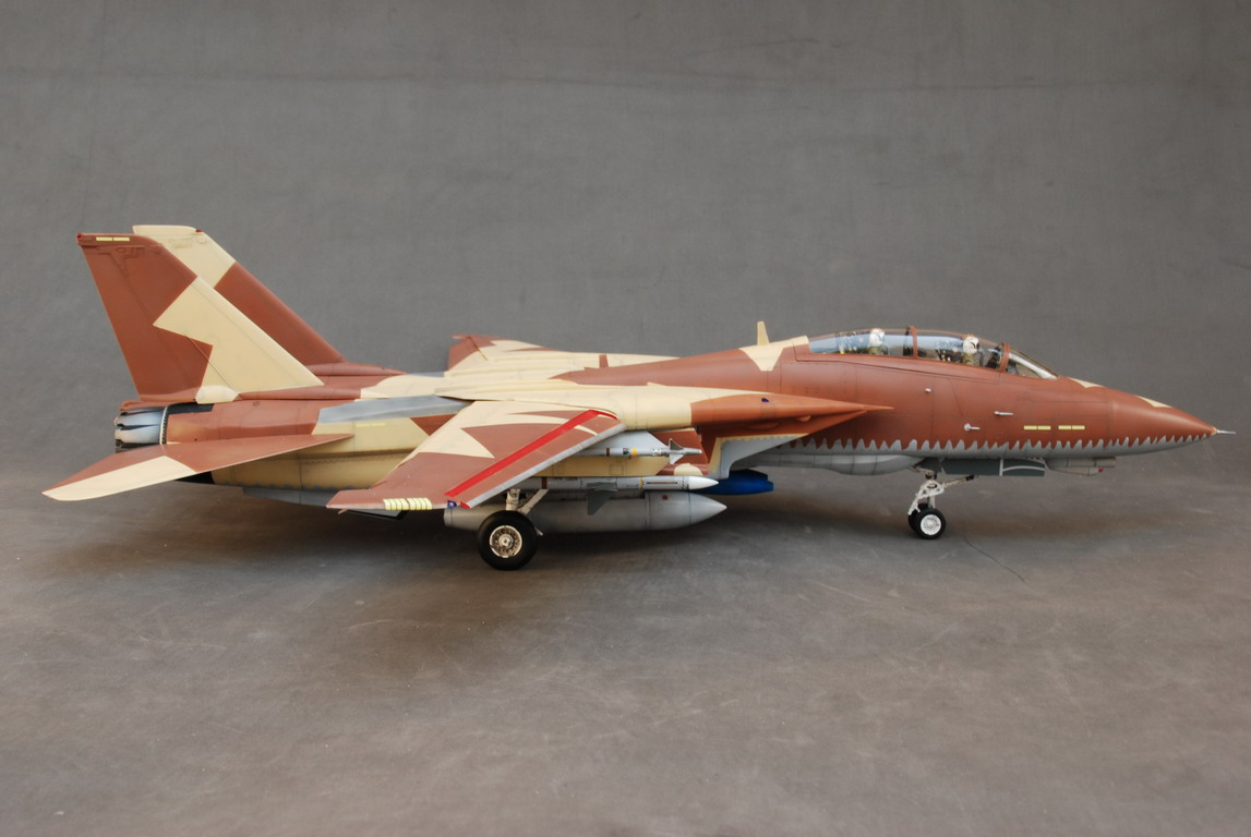 Fini: 1/48 F-14B Thief of Baghdad DSC_0012