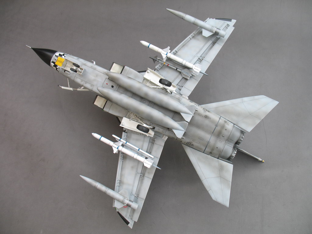 Fini:1/48 TORNADO ECR Immagine%20044