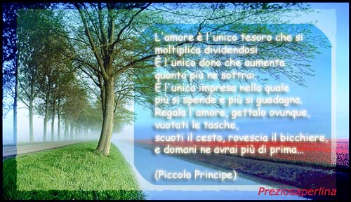 inizio aforismi con immagini....  se nel cammino - Pagina 4 Pp3