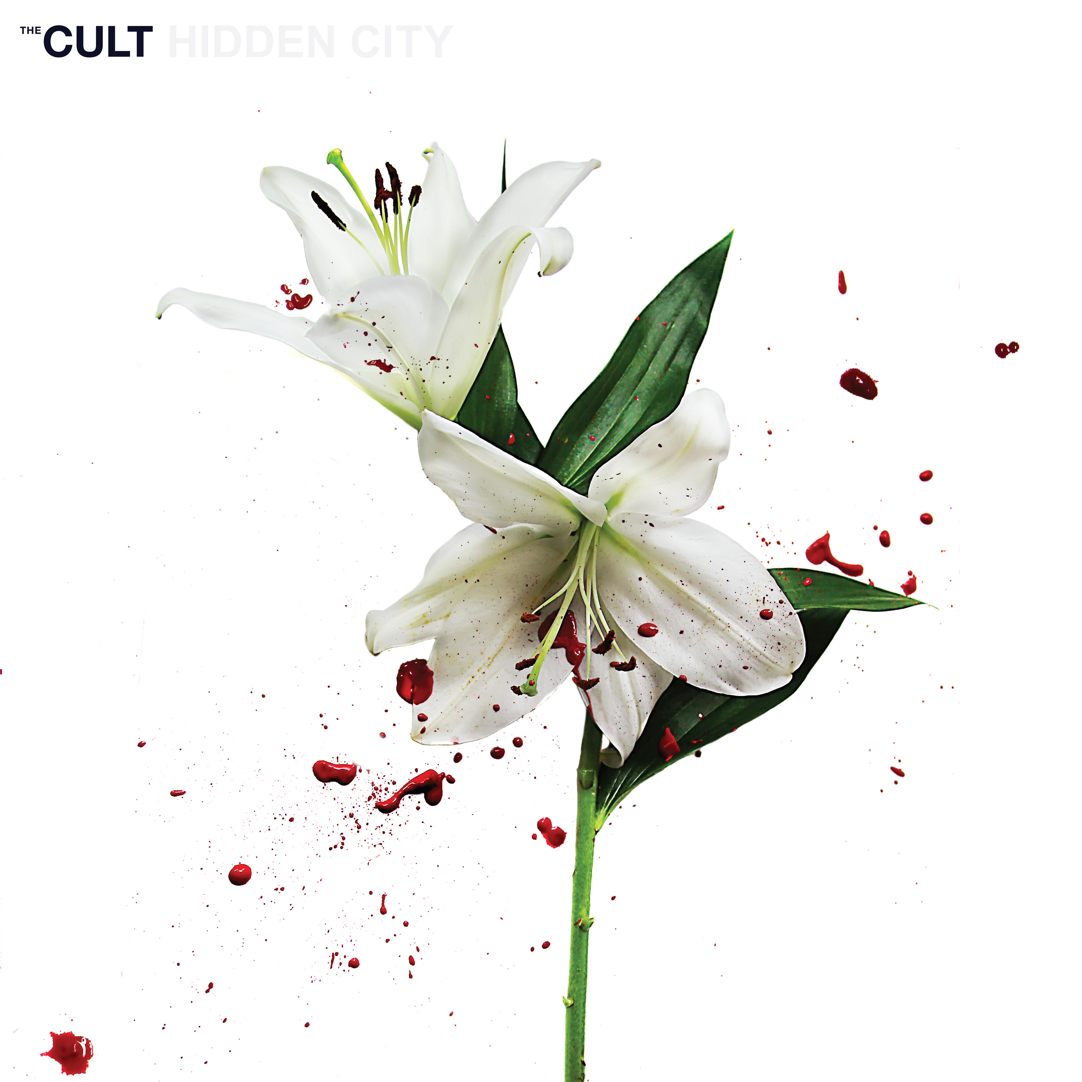 Los mejores discos del 2016 - Resultados del 1 al 50 en el primer post - Página 8 The-Cult-Hidden-City-COOKCD621