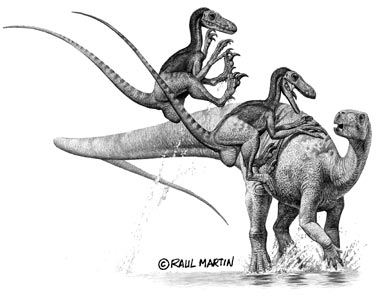 Deinonychus ou Griffes terribles Deinonychus_tenontosaurus