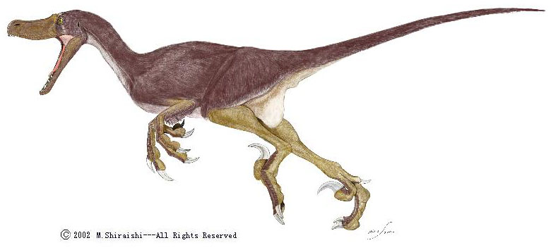 Bracelet  RR Velociraptor3
