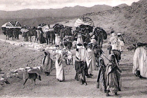 Histoire des Berbères 1/2 & 2/2 (Bernard Lugan) Les-nomades