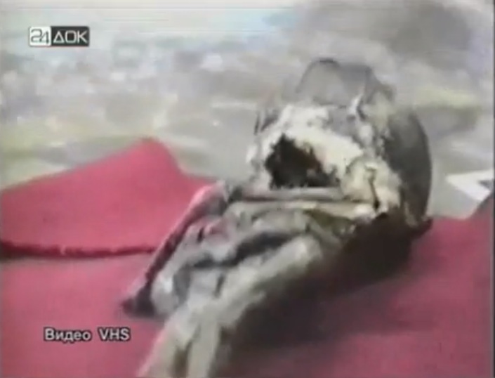 David Wilcock 1 Feb 2013- DISCLOSURE: Nearly Identical ET Corpses Found in Russia and South America Russian_et4