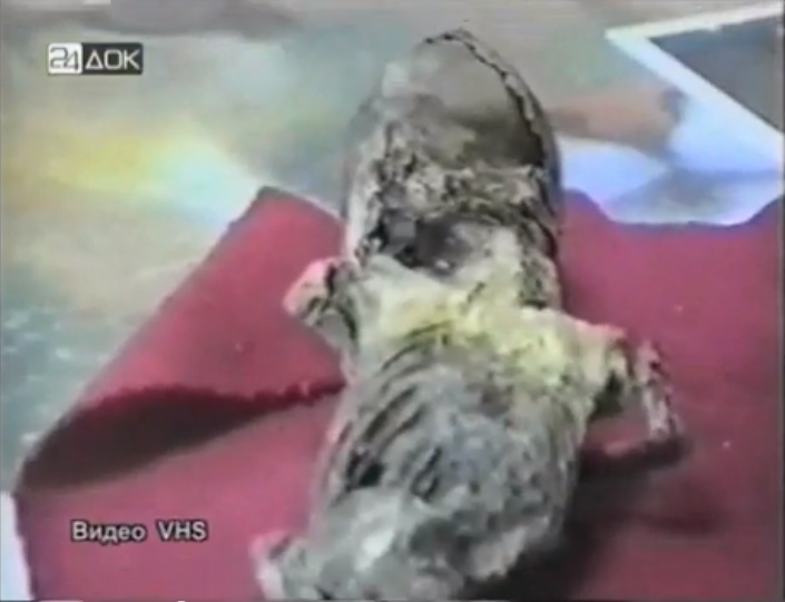 David Wilcock 1 Feb 2013- DISCLOSURE: Nearly Identical ET Corpses Found in Russia and South America Russian_et_back