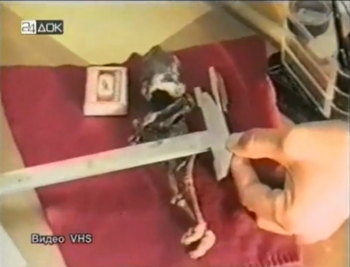 David Wilcock 1 Feb 2013- DISCLOSURE: Nearly Identical ET Corpses Found in Russia and South America Russian_et_measure