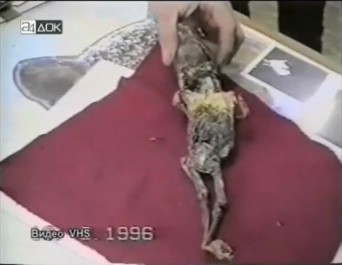 David Wilcock 1 Feb 2013- DISCLOSURE: Nearly Identical ET Corpses Found in Russia and South America Russian_et_reverse