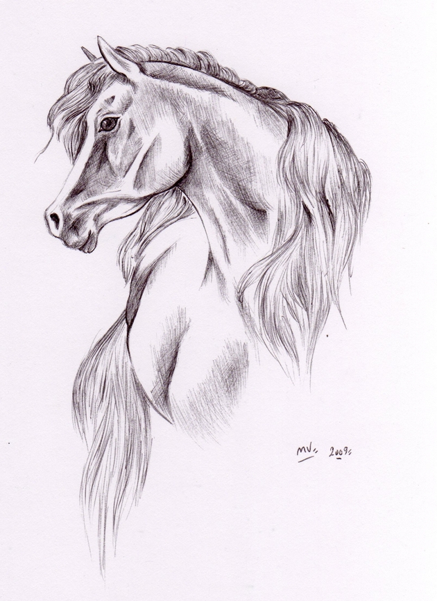 cheval [bic] Img276