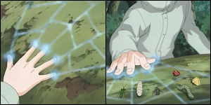 Techniques des Aburame Mushi%20Yose%20no%20Jutsu