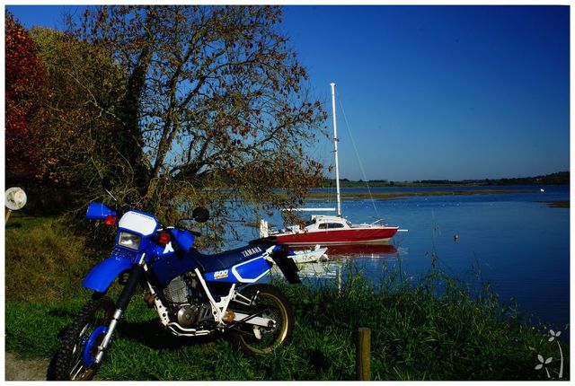 Concours de Nov 2015 : "Votre moto  dans/devant/au milieu... LabelBLEU