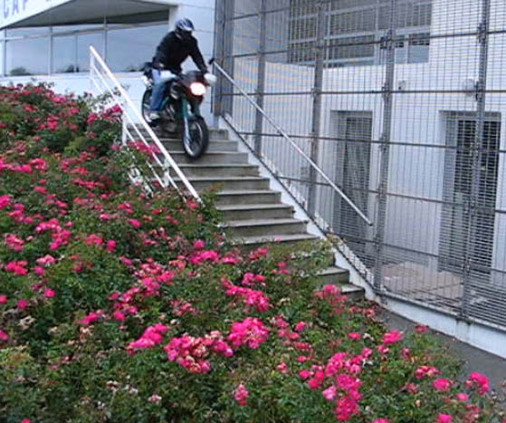 Le concours de Février 2010: Votre moto en figure libre. Escaliers2