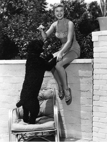 les stars et leurs animaux. - Page 6 Doris-day-with-mrs-mike-dog