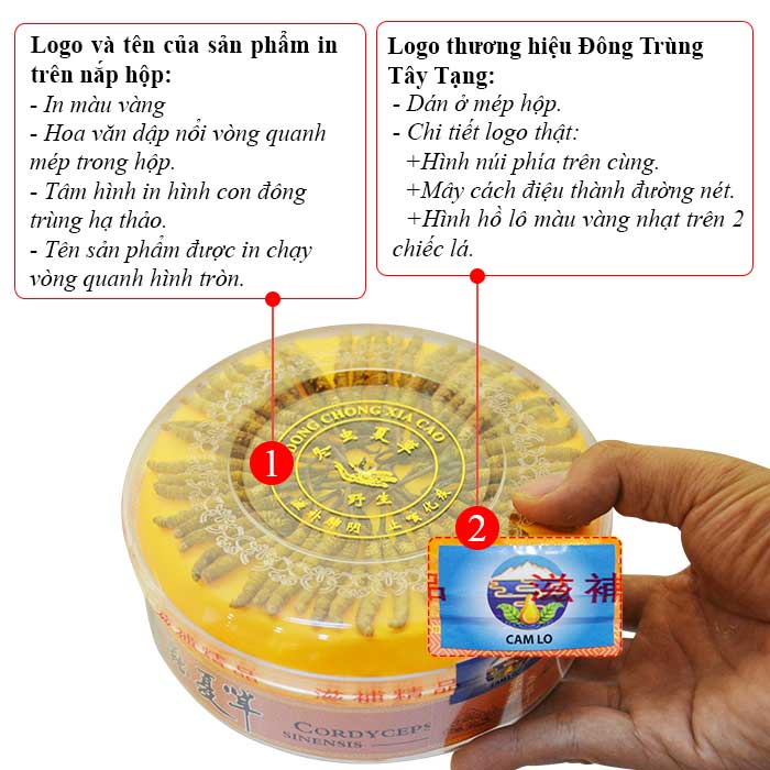  Đông trùng hạ thảo nguyên con cao cấp 20g Dong-trung-ha-thao-nguyen-con-20g-cao-cap