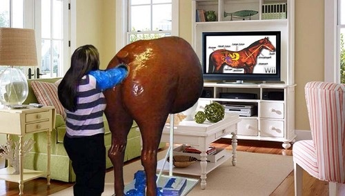 Tuesdays funny pics! Horse-controller