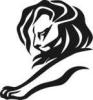 Cannes Lions Will Arrive to Rostov T386